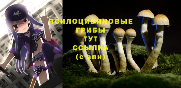 тгк Балабаново