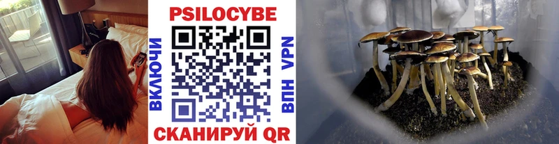 купить наркоту  Заозёрск  МЕГА ссылка  Галлюциногенные грибы Psilocybe 
